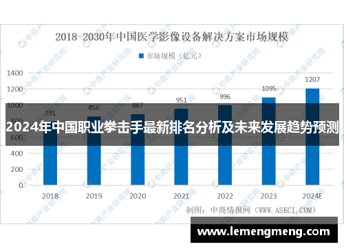 2024年中国职业拳击手最新排名分析及未来发展趋势预测